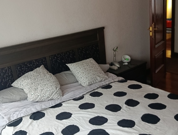 Imagen 3 de Piso en Venta en Aranguren Bizkaia