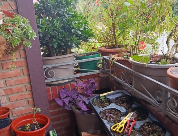 Imagen 4 de Piso en Venta en Aranguren Bizkaia