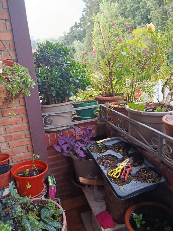 Imagen 4 de Piso en Venta en Aranguren Bizkaia