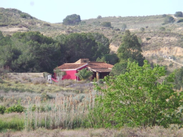 Imagen 1 de Casa-Chalet en Venta en Ciudad Quesada Alicante