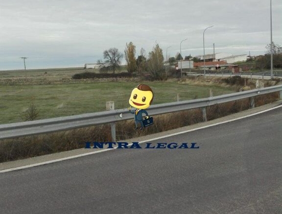 Imagen 4 de TERRENO RÚSTICO EN VITIGUDINO.