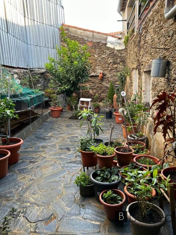 Imagen 3 de BONITA CASA RURAL EN MALPARTIDA DE PLASENCIA (CÁCERES)