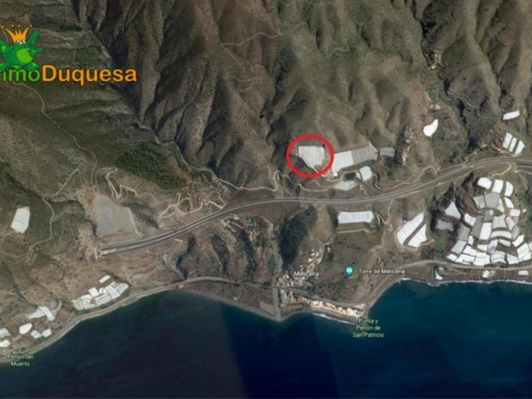 Imagen 3 de HAZNOS TU OFERTA DE PRECIO!!  INVERNADERO en venta en Melicena