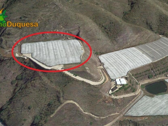 Imagen 4 de HAZNOS TU OFERTA DE PRECIO!!  INVERNADERO en venta en Melicena