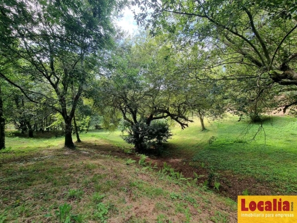 Imagen 3 de Espectacular suelo rústico en Cantabria