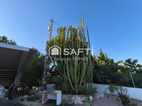 Imagen 3 de Casa de campo con 2000m de terreno