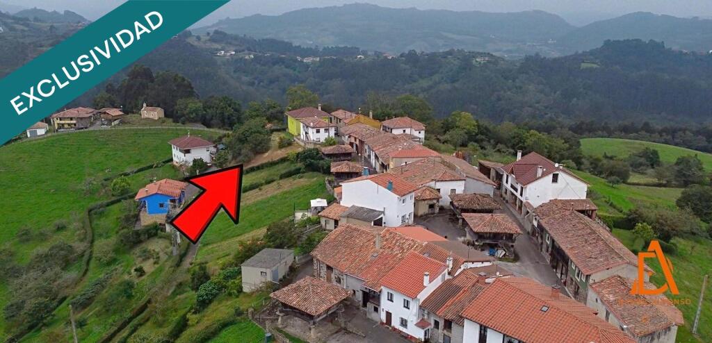 Imagen 3 de Finca rústica edificable con orientación Sur