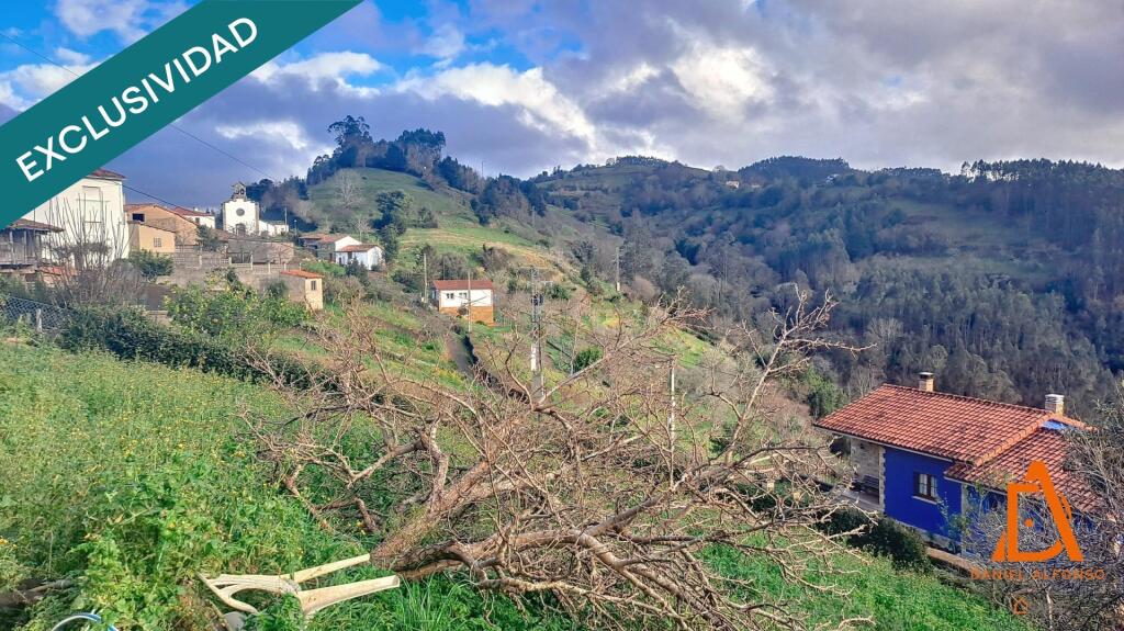 Imagen 4 de Finca rústica edificable con orientación Sur
