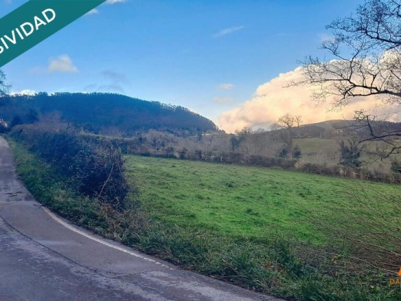 Imagen 2 de FINCA a solo 10 minutos de Villaviciosa