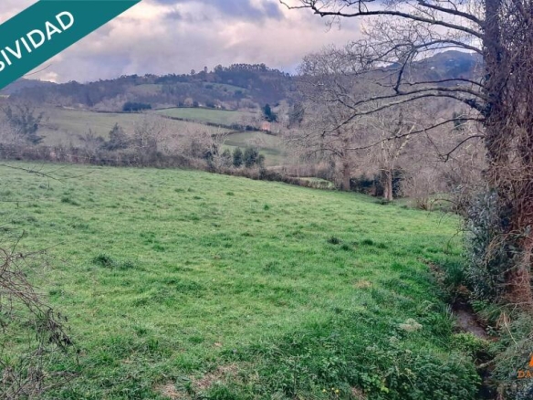 Imagen 3 de FINCA a solo 10 minutos de Villaviciosa