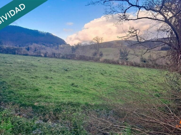 Imagen 4 de FINCA a solo 10 minutos de Villaviciosa