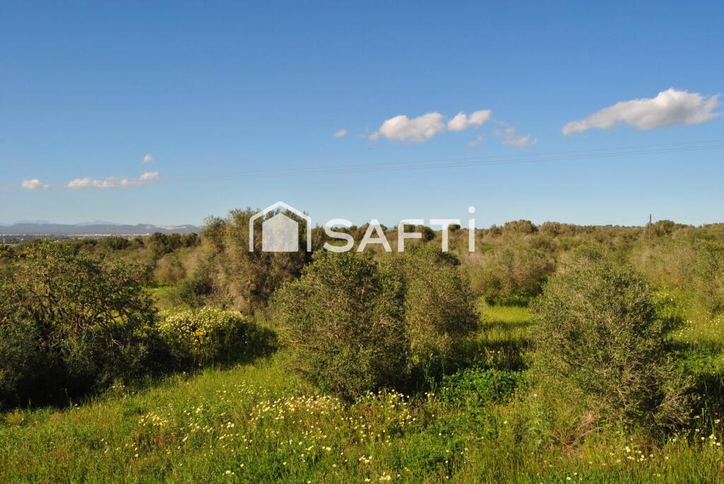 Imagen 4 de Joya Escondida en Campos! Finca Rustica con muchas posibilidades para reformar