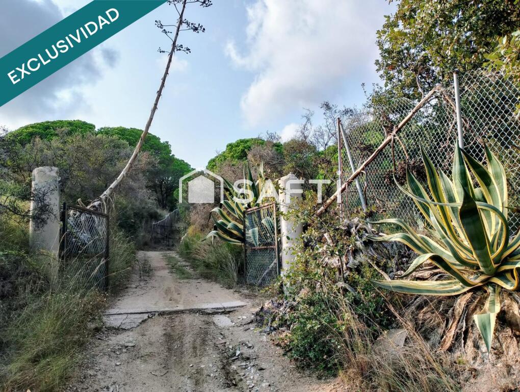 Imagen 3 de FINCA RÚSTICA SECANA EN EL MUNICIPIO DE SANT POL DE MAR