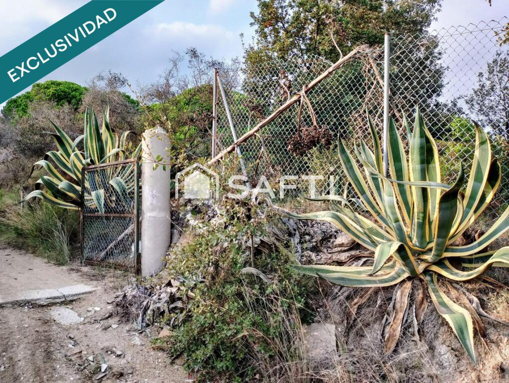 Imagen 4 de FINCA RÚSTICA SECANA EN EL MUNICIPIO DE SANT POL DE MAR