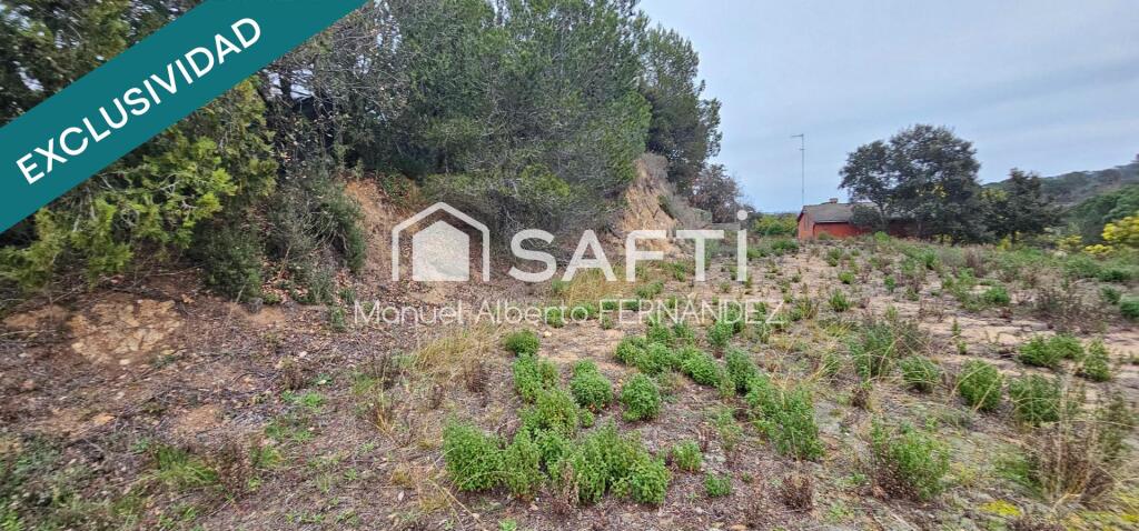 Imagen 4 de Más de 800 m² para construir tu sueño