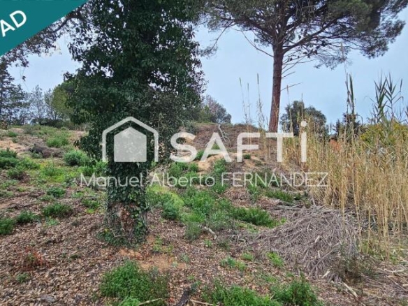 Imagen 2 de Más de 800 m² para construir tu sueño.