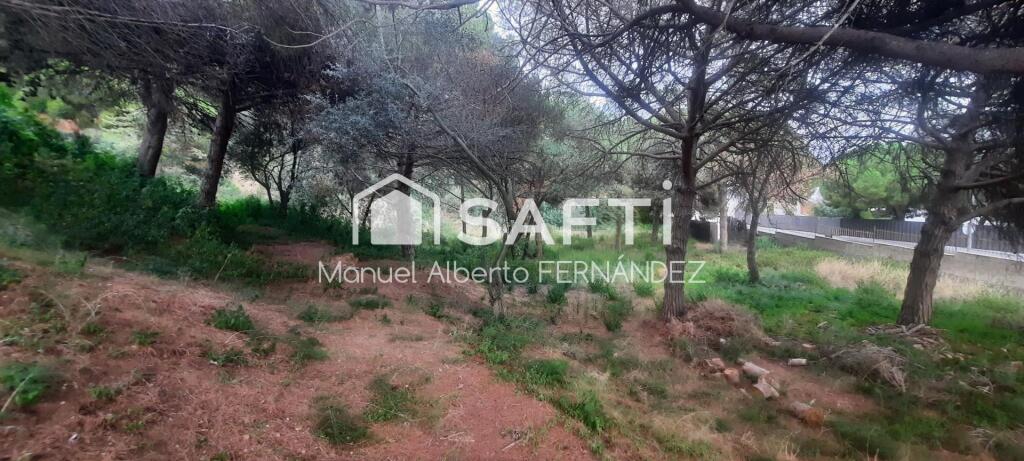 Imagen 3 de ? Tu proyecto único frente al Mediterráneo
