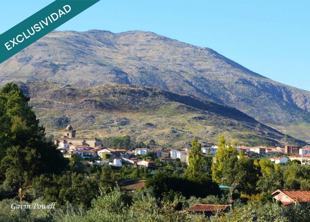 Imagen 3 de Terreno edificable a 600m del bonito pueblo serragatino de Acebo