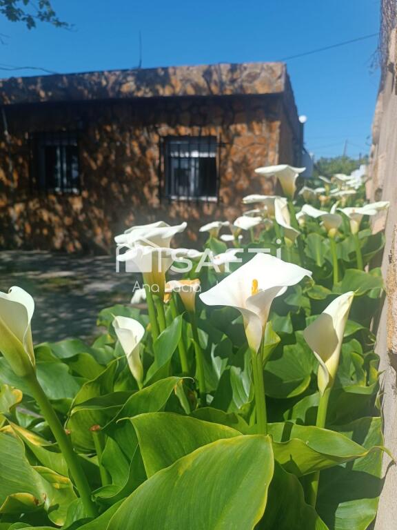 Imagen 2 de Pequeña casa con terreno rústico y acequia de riego