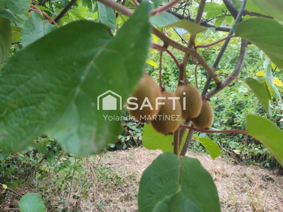 Imagen 2 de Finca rústica con agua y luz