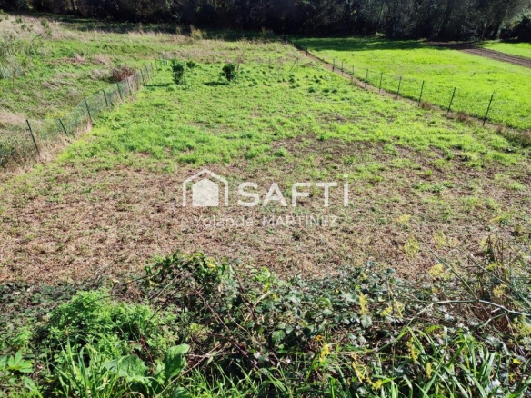 Imagen 2 de Finca edificable en Amio