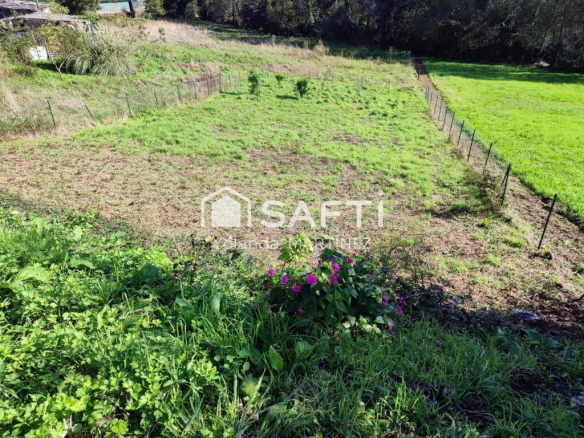 Imagen 4 de Finca edificable en Amio