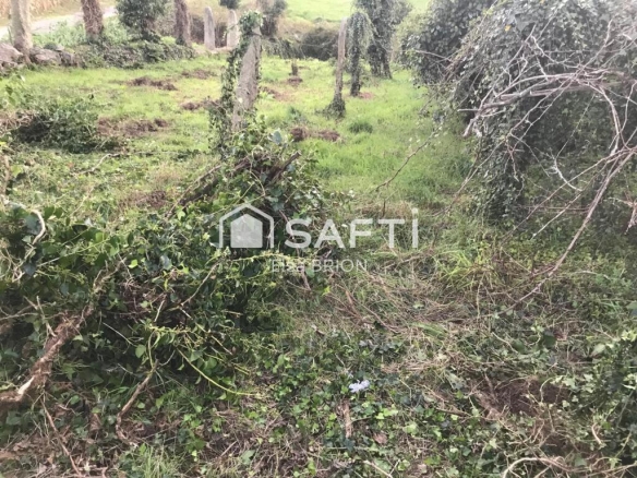 Imagen 4 de Terreno edificable en Puilla (Nebra)