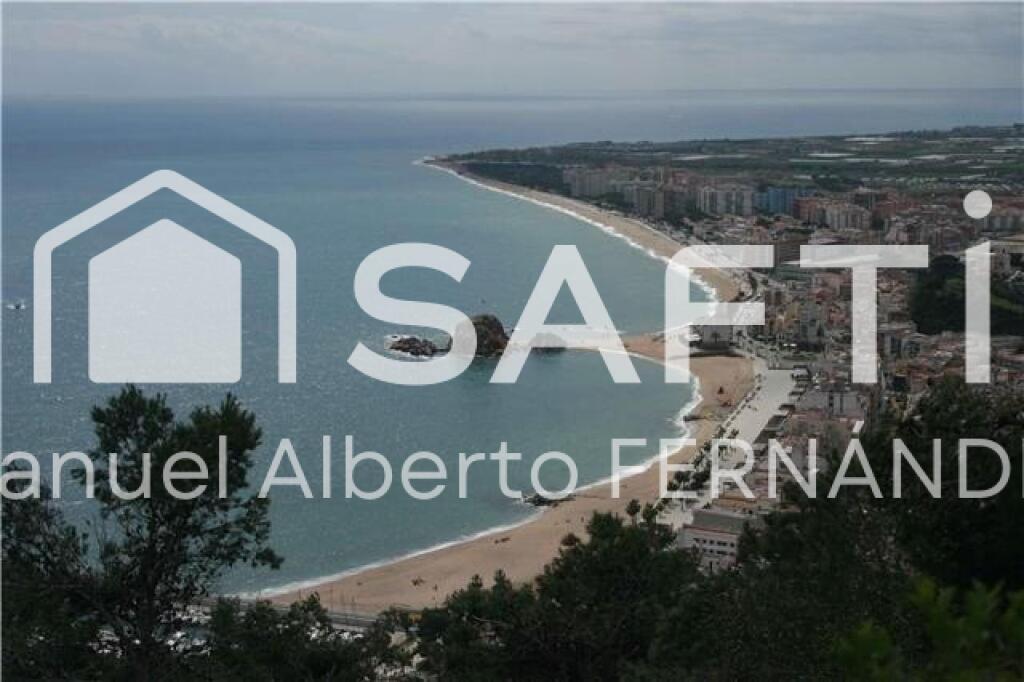 Imagen 2 de SAFTI España New Inmogroup S.L. les presenta a la venta nave industrial en Blanes