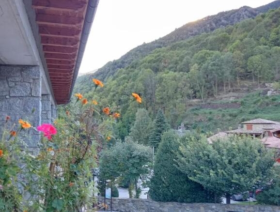 Imagen 4 de Inversión única en los Pirineos