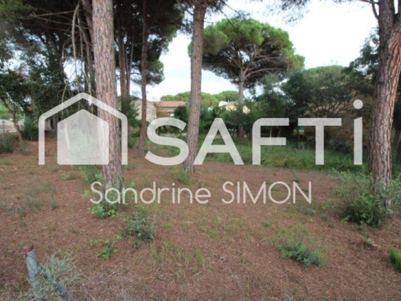 Imagen 4 de PARCELA PLANA CERCA DEL PUEBLO de VIDRERES