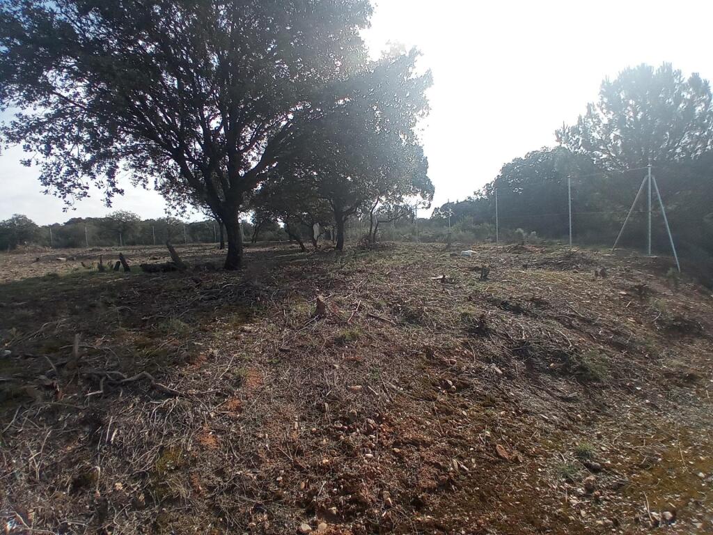 Imagen 4 de "Construye tu hogar en Sotolargo: Naturaleza y comodidad"