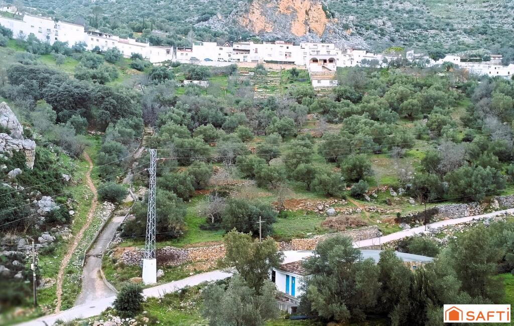 Imagen 2 de El terreno ideal para tu proyecto rural en la Serranía de Ronda