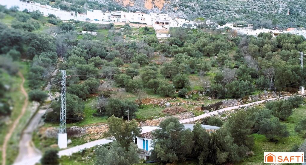 Imagen 3 de El terreno ideal para tu proyecto rural en la Serranía de Ronda