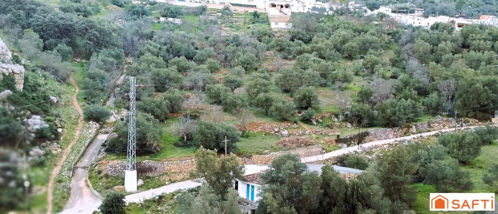 Imagen 4 de El terreno ideal para tu proyecto rural en la Serranía de Ronda