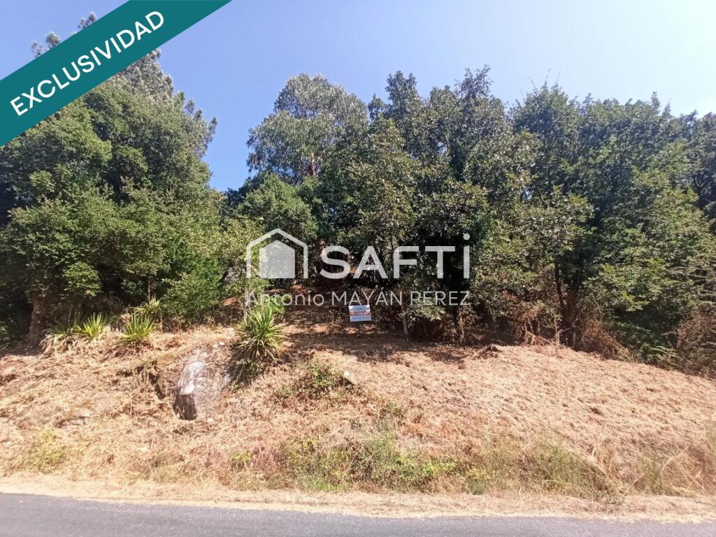 Imagen 3 de FINCA RÚSTICA EN SANTA UXÍA - CONCELLO DE BARBADÁS