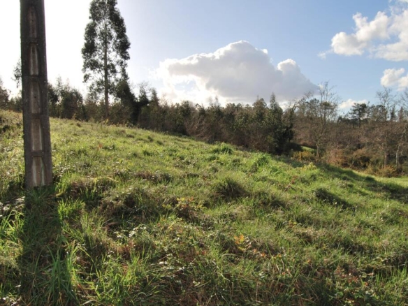 Imagen 2 de Finca rústica en A Estrada