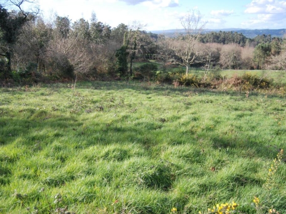 Imagen 3 de Finca rústica en A Estrada