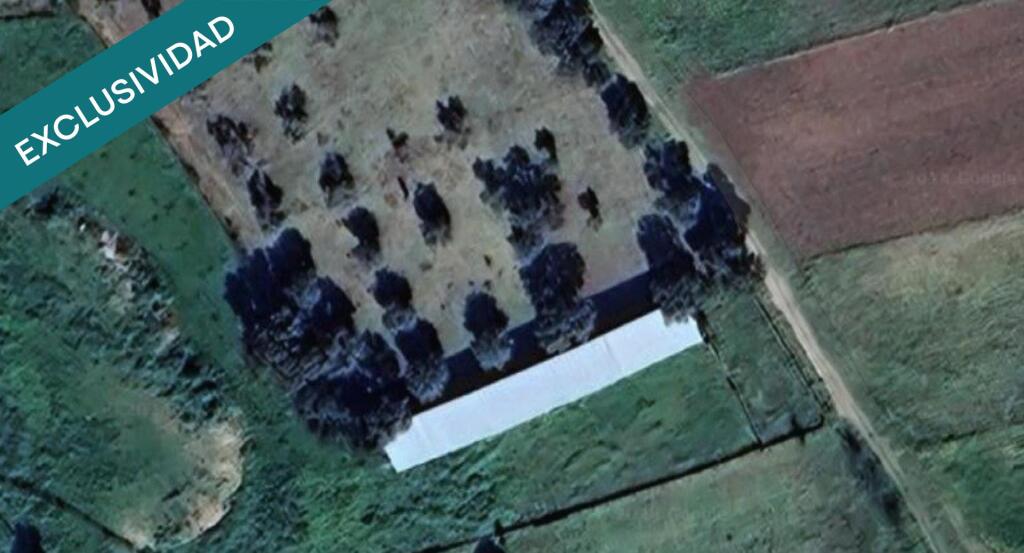 Imagen 3 de Olivar de 2.925 m²