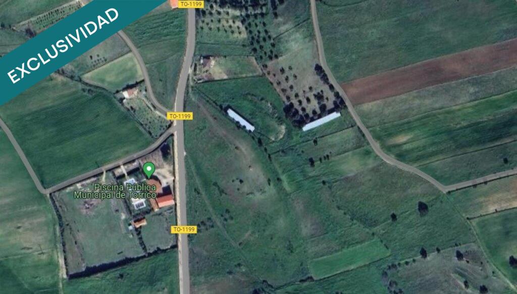 Imagen 4 de Olivar de 2.925 m²
