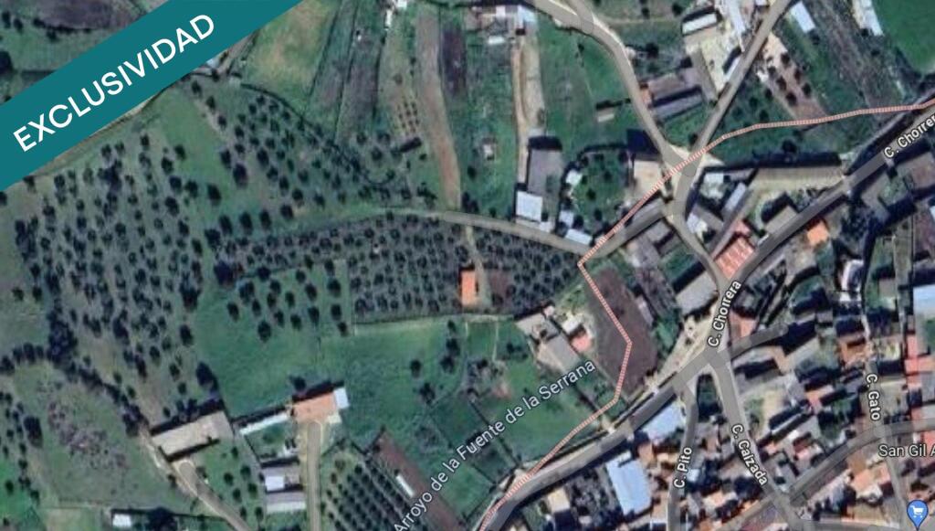 Imagen 2 de Olivar de 1.819 m²