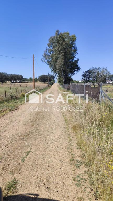 Imagen 2 de Parcela Rústica de 5.000 m² en Paraje Ermita de Bótoa – A solo 13 minutos de Badajoz