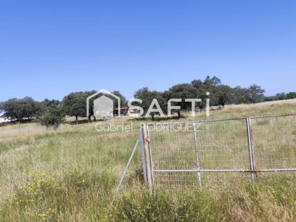 Imagen 4 de Parcela Rústica de 5.000 m² en Paraje Ermita de Bótoa – A solo 13 minutos de Badajoz