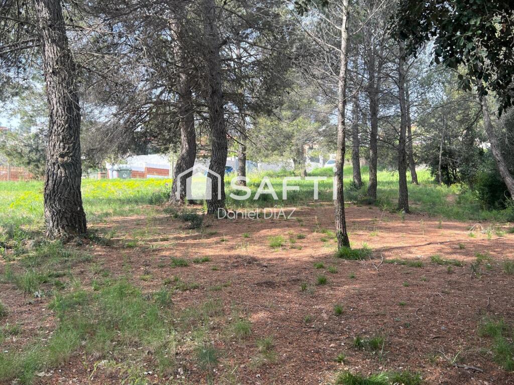 Imagen 2 de Solar en Oasis