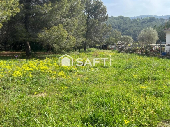 Imagen 3 de Solar en Oasis