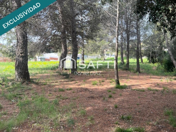 Imagen 3 de Solar en entorno natural.