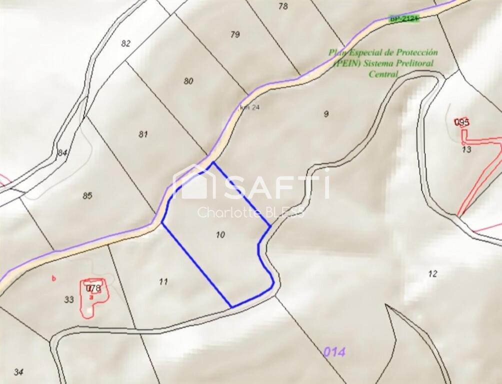 Anoia