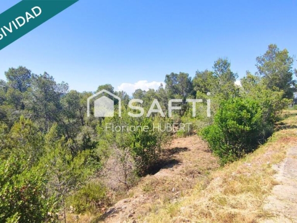 Imagen 4 de TERRENO DE 3260M2 EDIFICABLE EN CERVELLO