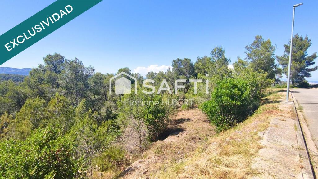 Imagen 4 de TERRENO DE 3260M2 EDIFICABLE EN CERVELLO
