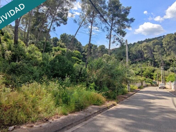 Imagen 1 de TERRENO DE 2300M2 EDIFICABLE EN CERVELLO.