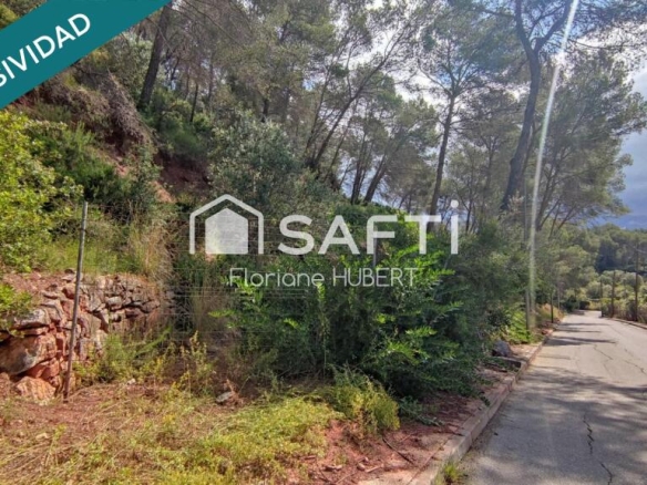 Imagen 3 de TERRENO DE 4215M2 EDIFICABLE EN CERVELLO.